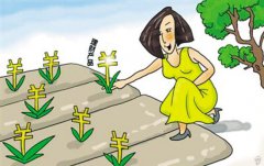 期货技术分析中箱体形态、旗形形态、三角旗形形态、菱形形态