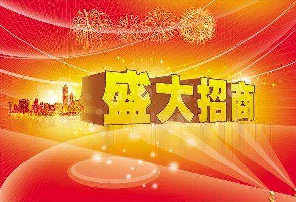 B股如何进行分红?
