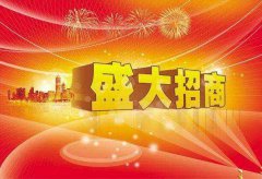 B股如何进行分红？