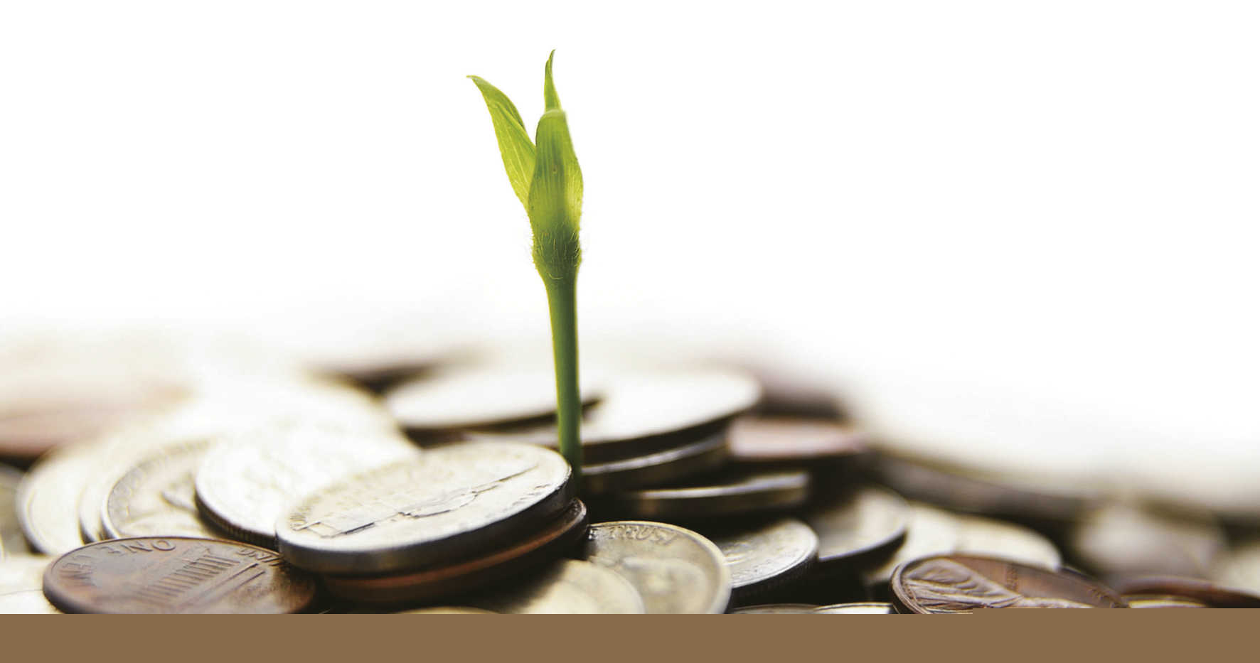 资金安全的实现方式